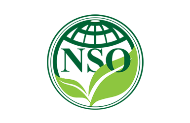 nso-logo
